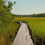 Birdwatching spots Southern Ontario