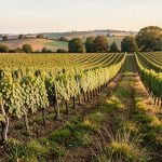 Countryside escapes Southern Ontario
