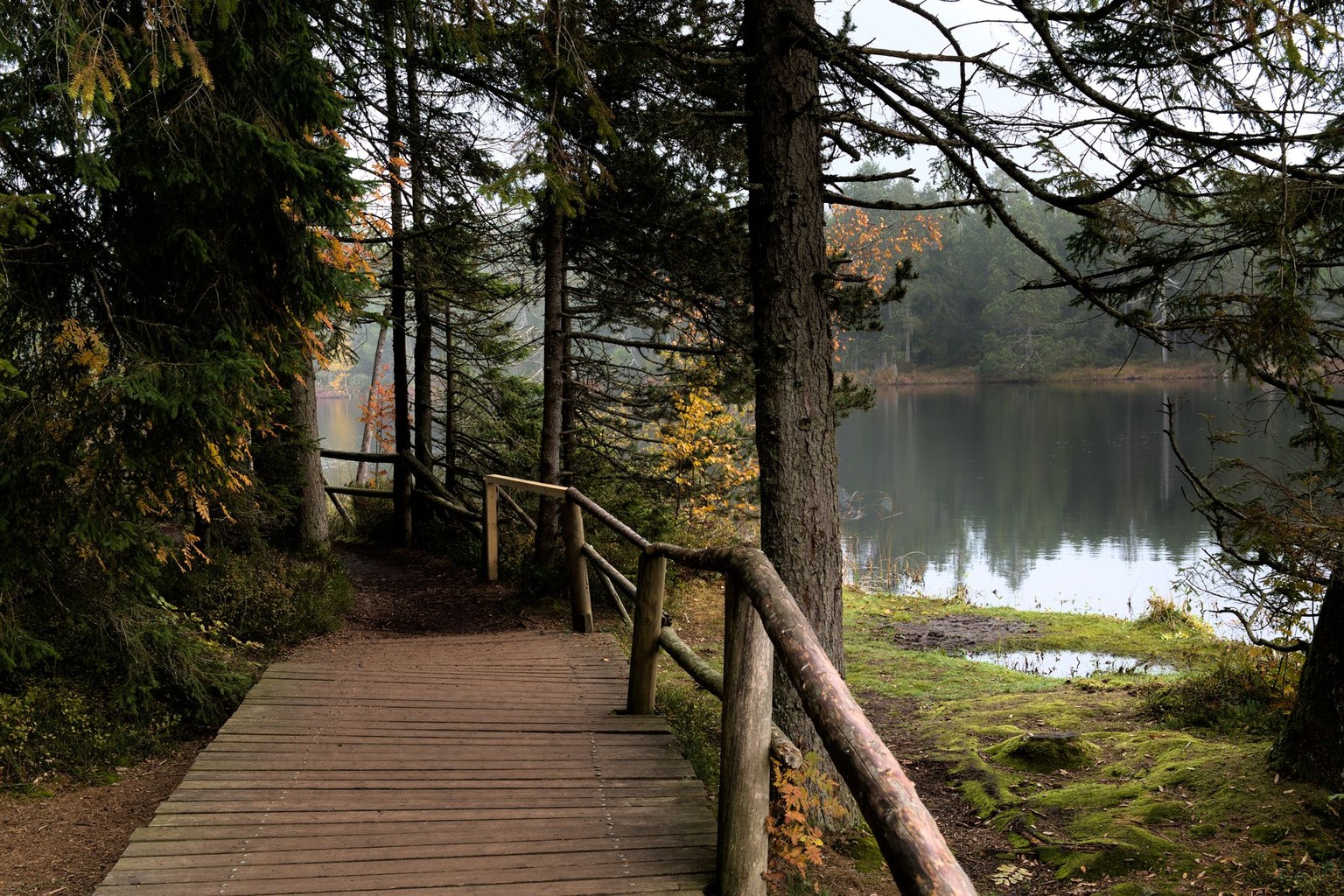 Southern Ontario nature reserves