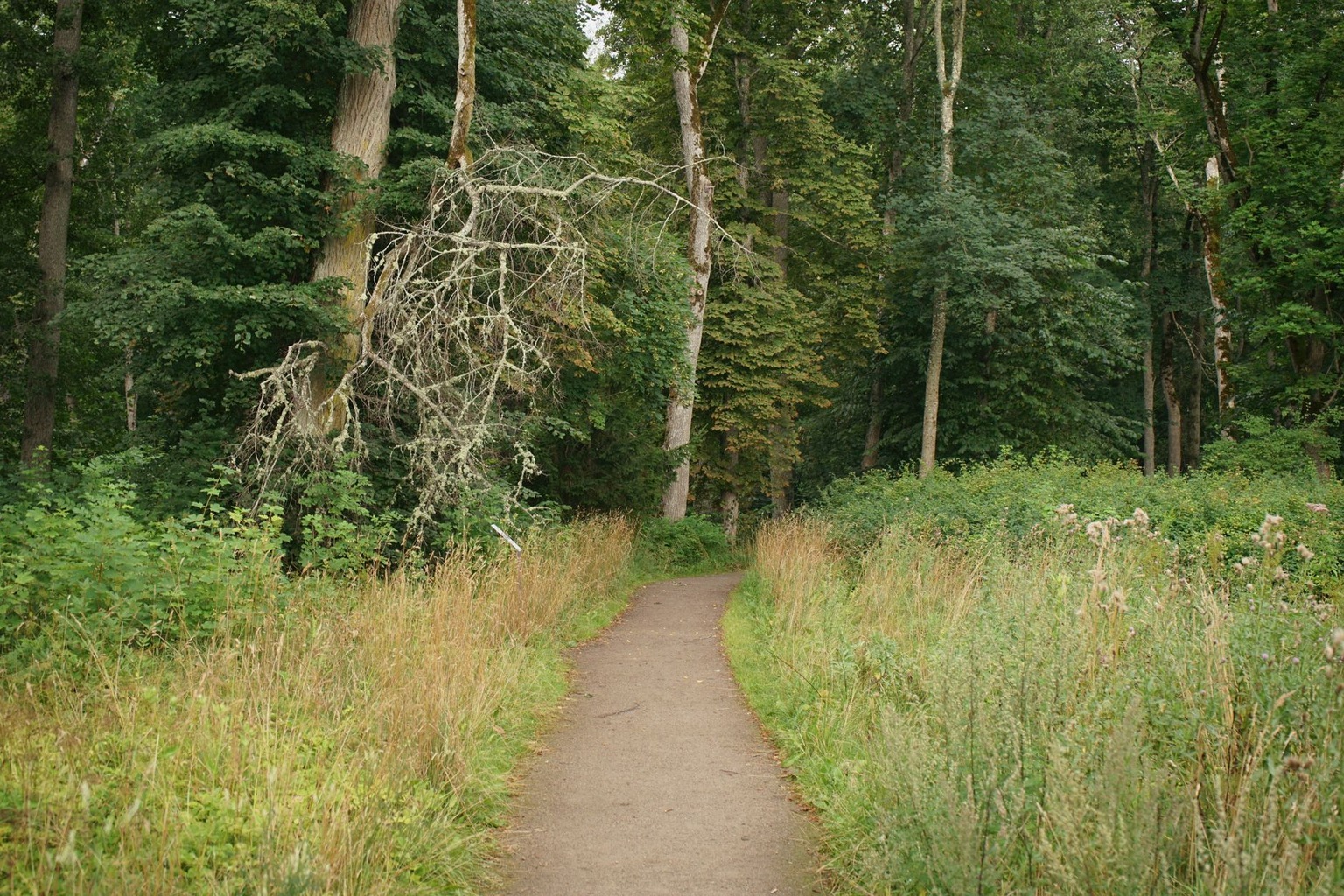 Southern Ontario nature reserves — How to Choose the Best Southern Ontario Nature Reserve for Your Travel Style and Seas Southern Ontario nature reserves — How to Choose the Best Southern Ontario Nature Reserve for Your Travel Style and Seas