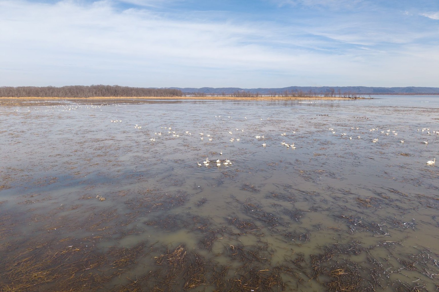 Southern Ontario nature reserves — Hidden Gems and Off-the-Beaten-Path Reserves Worth Visiting (With Exact Coordinates a Southern Ontario nature reserves — Hidden Gems and Off-the-Beaten-Path Reserves Worth Visiting (With Exact Coordinates a