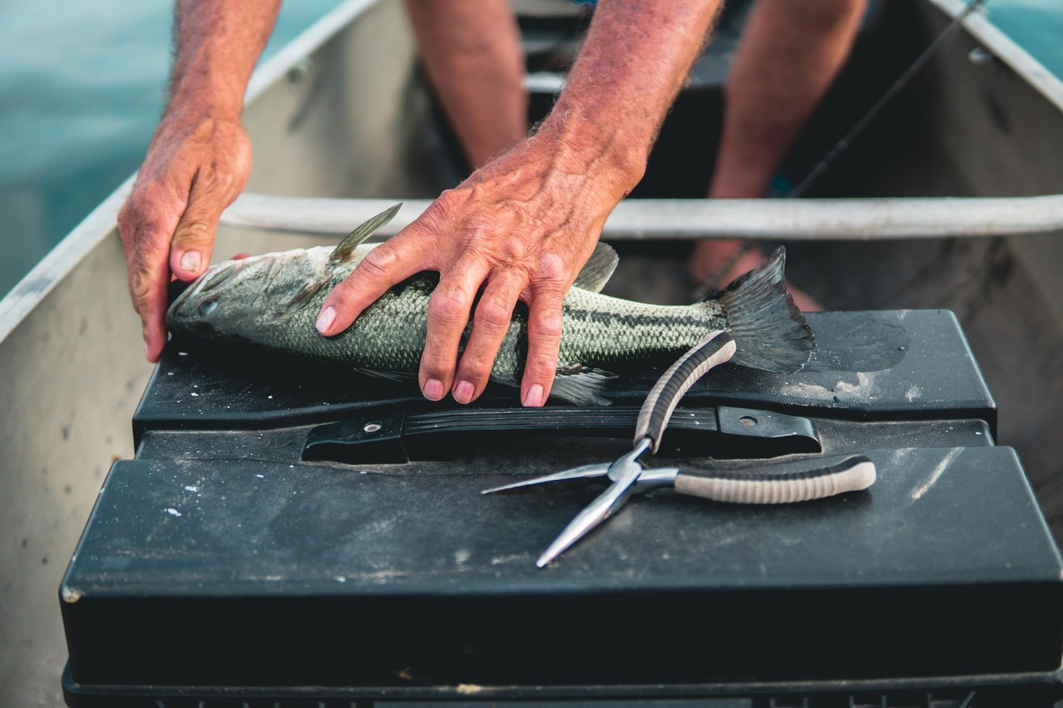 Best Hidden Lakes for Secluded Camping in Southern Ontario’s Wilderness — Fishing, Wildlife, and Respecting the Environm Best Hidden Lakes for Secluded Camping in Southern Ontario’s Wilderness — Fishing, Wildlife, and Respecting the Environm