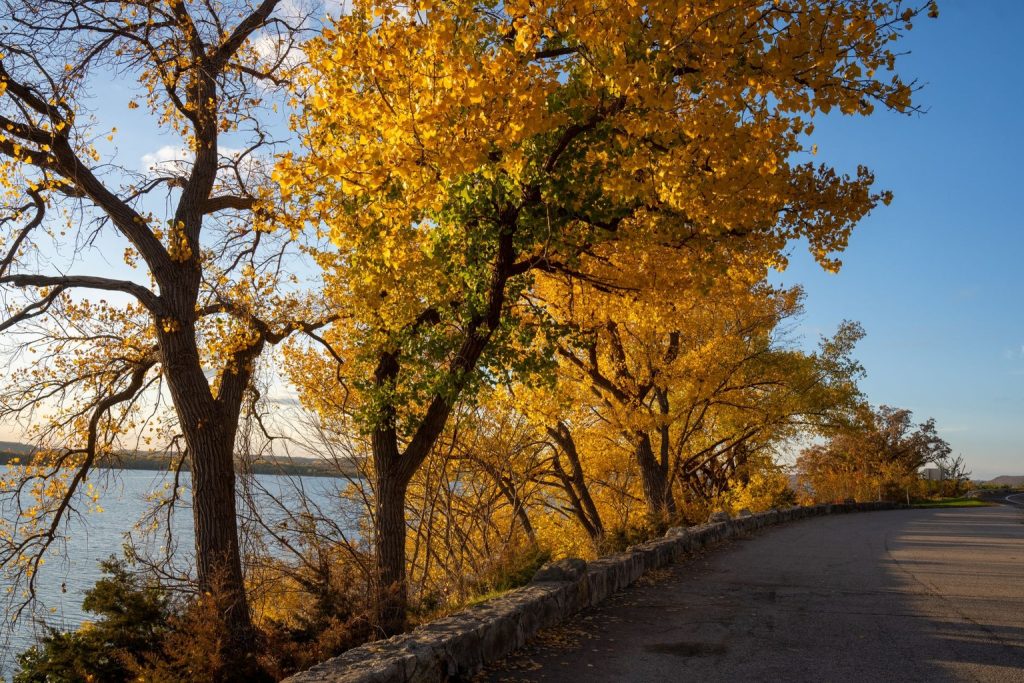 Best road trips in the us: Southern Ontario 2026 Adventure Routes