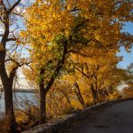Best road trips in the us: Southern Ontario 2026 Adventure Routes