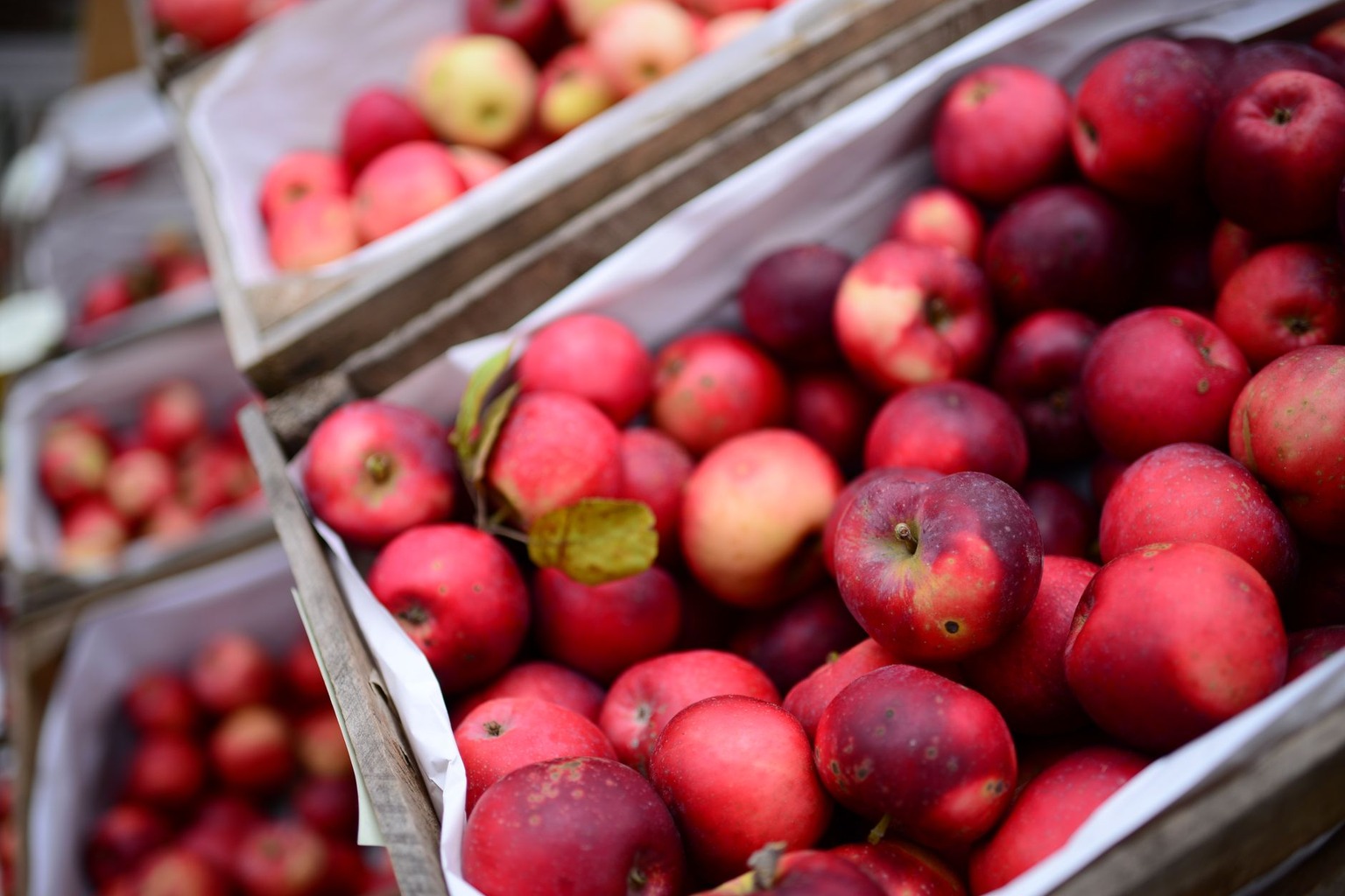 Seasonal Farm Stays: Pick-Your-Own Farms in Southern Ontario — Value Comparison Versus Grocery Retail