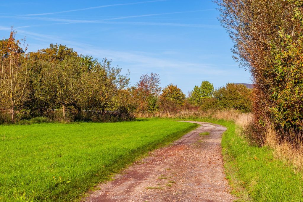 Sign free: Southern Ontario scenic drives with no speed limits