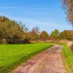 Sign free: Southern Ontario scenic drives with no speed limits