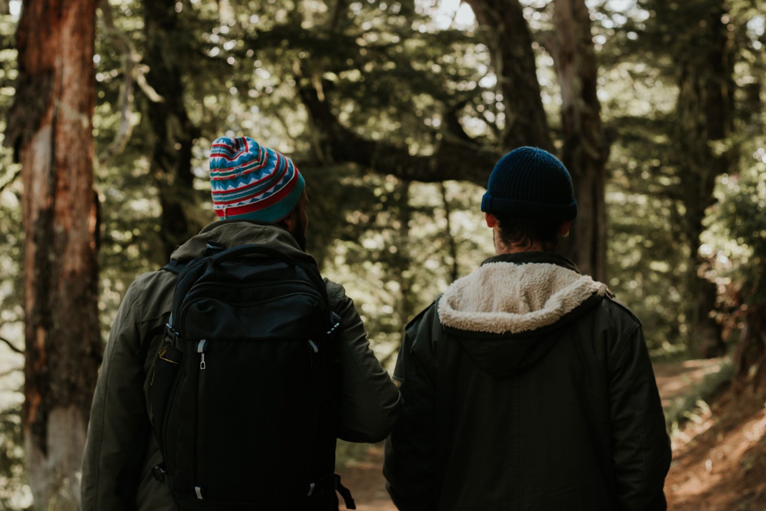 Southern Ontario bird migration routes — Pack the Right Gear and Know How to Use It Southern Ontario bird migration routes — Pack the Right Gear and Know How to Use It