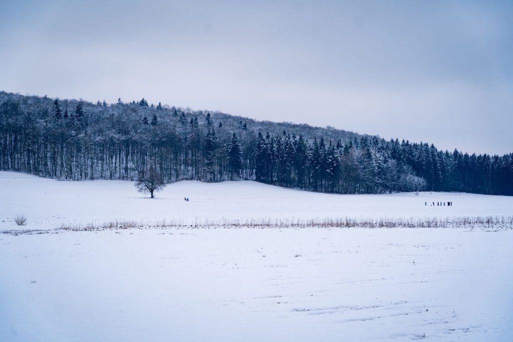 Winter Sports Guide: Best Cross-Country Skiing Trails in Southern Ontario