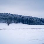 Winter Sports Guide: Best Cross-Country Skiing Trails in Southern Ontario