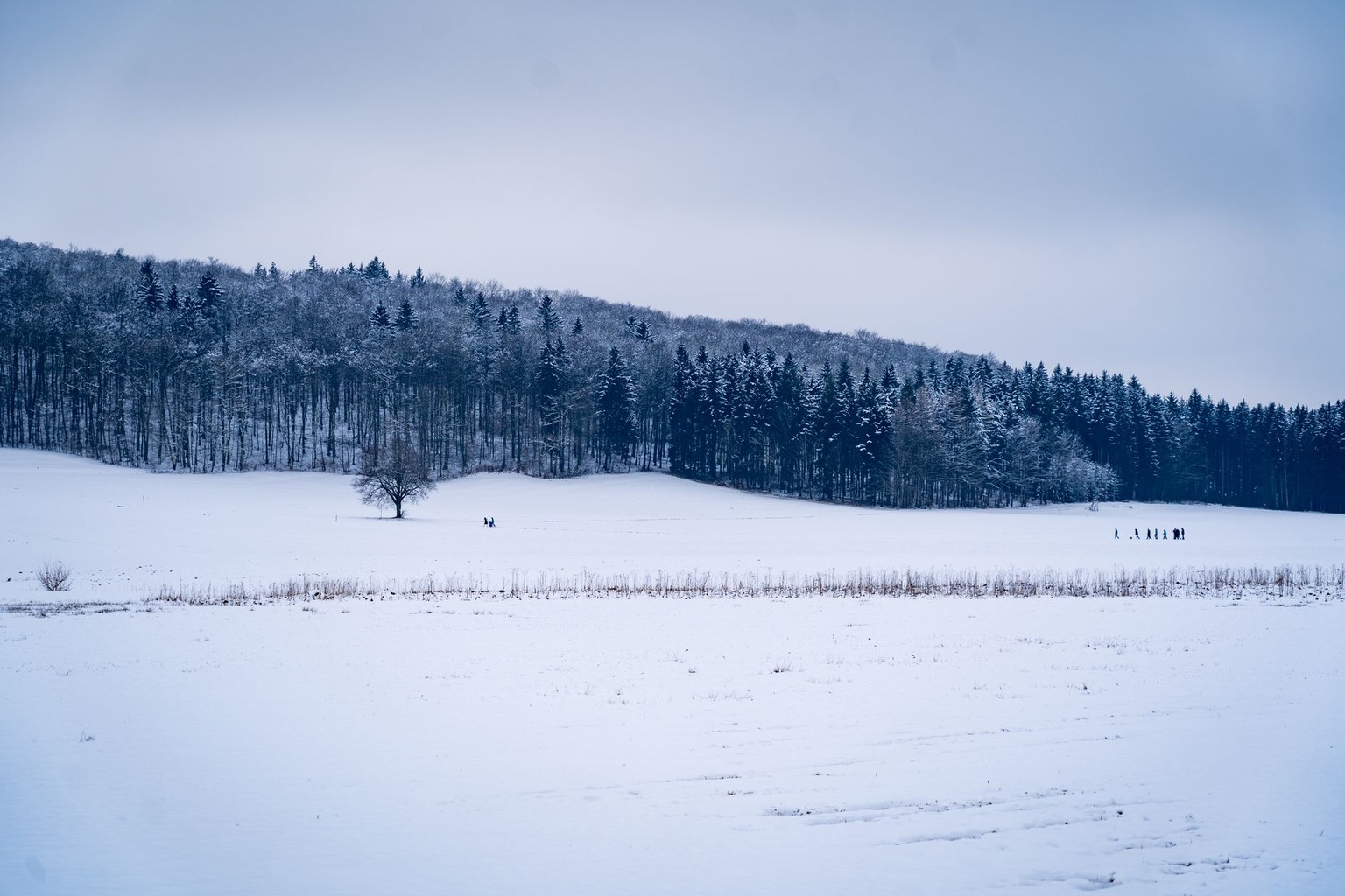 Winter Sports Guide: Best Cross-Country Skiing Trails in Southern Ontario