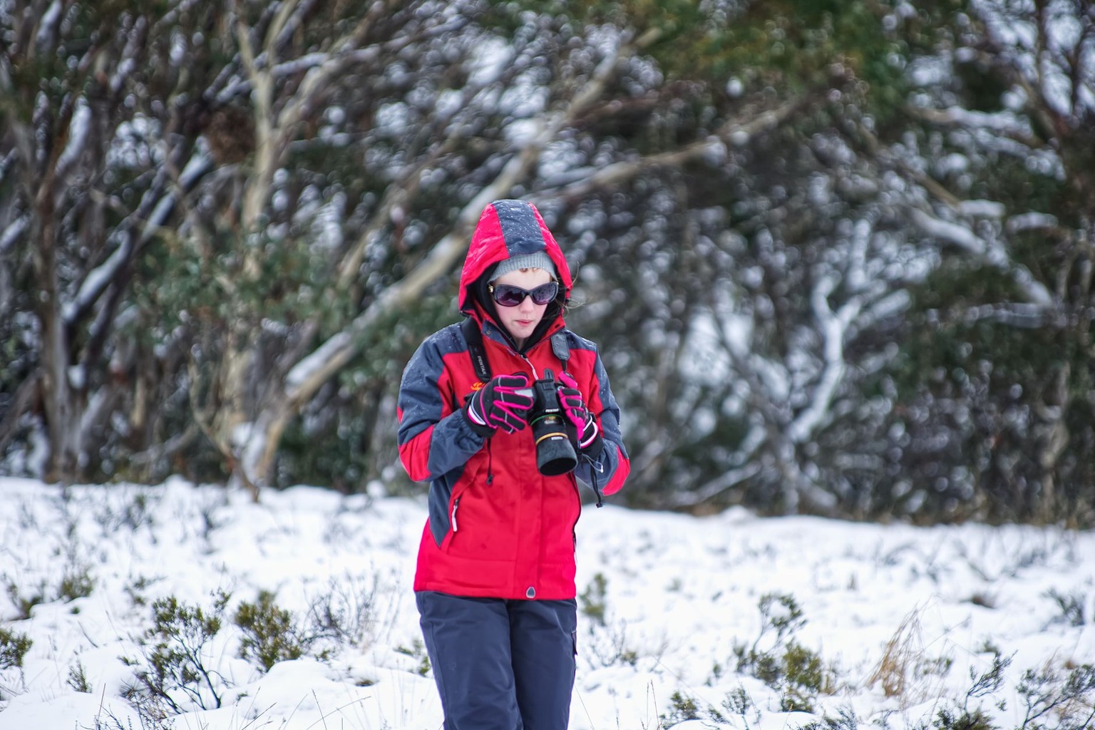 Winter Sports Guide: Best Cross-Country Skiing Trails in Southern Ontario — Planning Your Route: Mapping the Trail Netwo